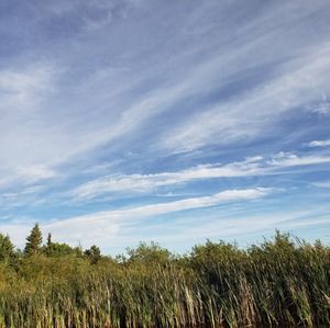 Meet your Posher, Kaki